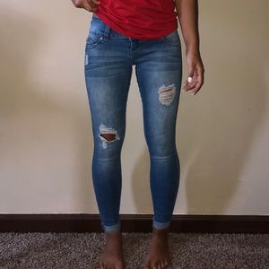 YMI Jeans (Jegging)